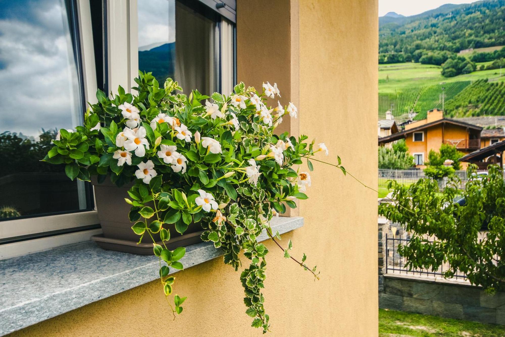 Apartment L'Envers Aosta Exterior photo